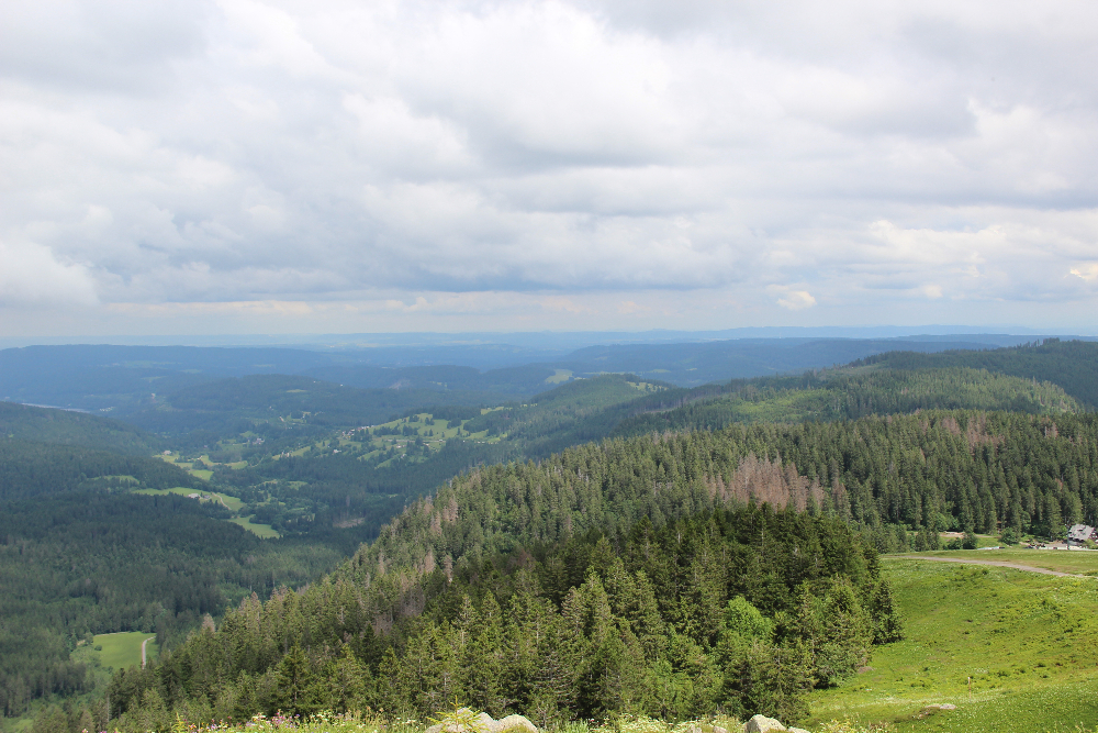 Aussicht-von-Feldberg