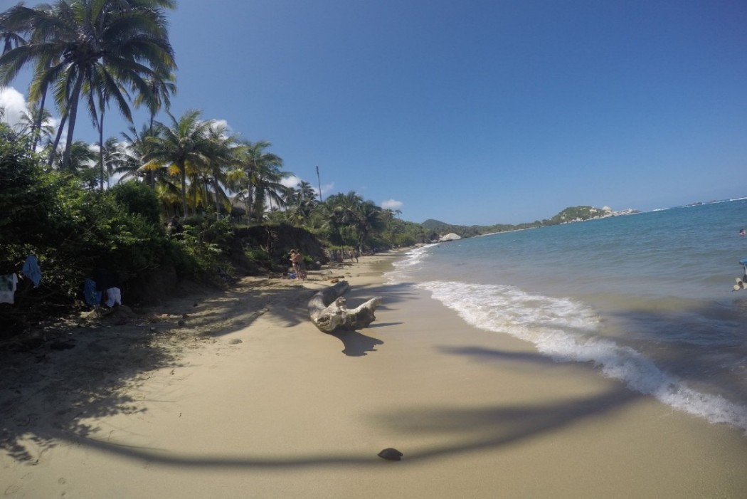 Strand Meer Piscina Palmen