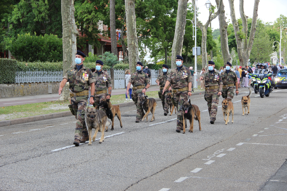 Hundestaffel-Arachon Hundestaffel