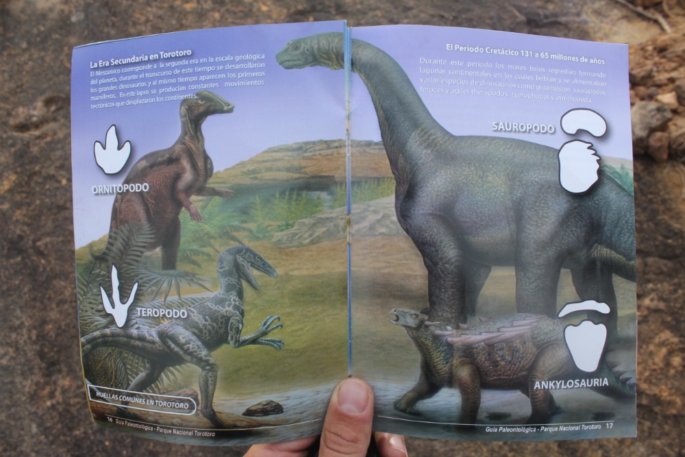 Torotoro Nationalpark Bolivien Südamerika Dinosaurier Jurassic Park Fußspuren Abdrücke