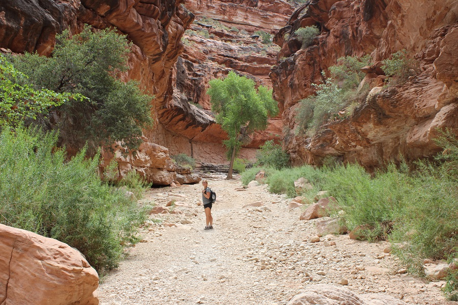 Wanderung im Grand Canyon