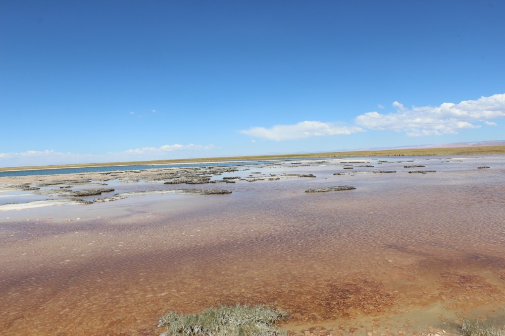 Laguna Cejar Salzlagune Salzsee Treiben lassen schwimmen Sonnenschein Blauer Himmel Wüste San Pedro de Atacame Chile Südamerika