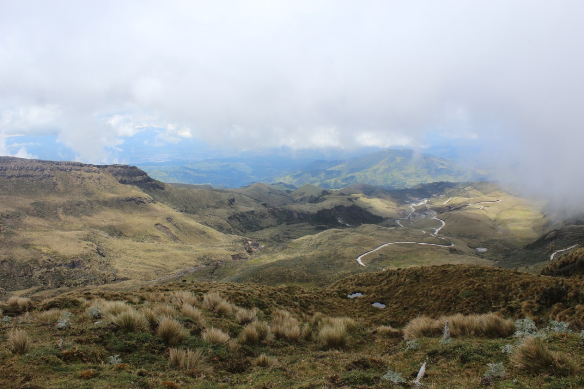 Natur Grün Pflanzen Berge