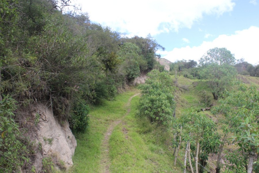 Quilotoa Loop Wandern Berge Natur Canyon Ecuador Südamerika