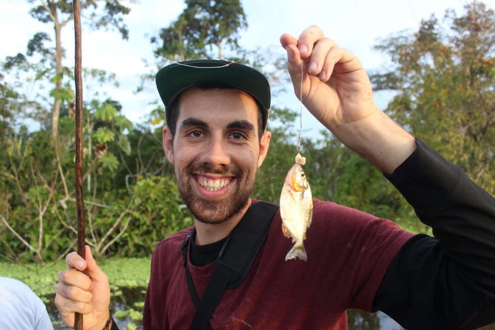 Amazonas Regenwald Peru Südamerika Natur Tiere Wildleben Piraniah Fischen