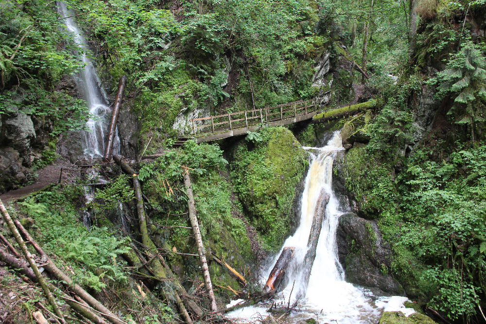 Lotenbachklamm-Schwarzwald