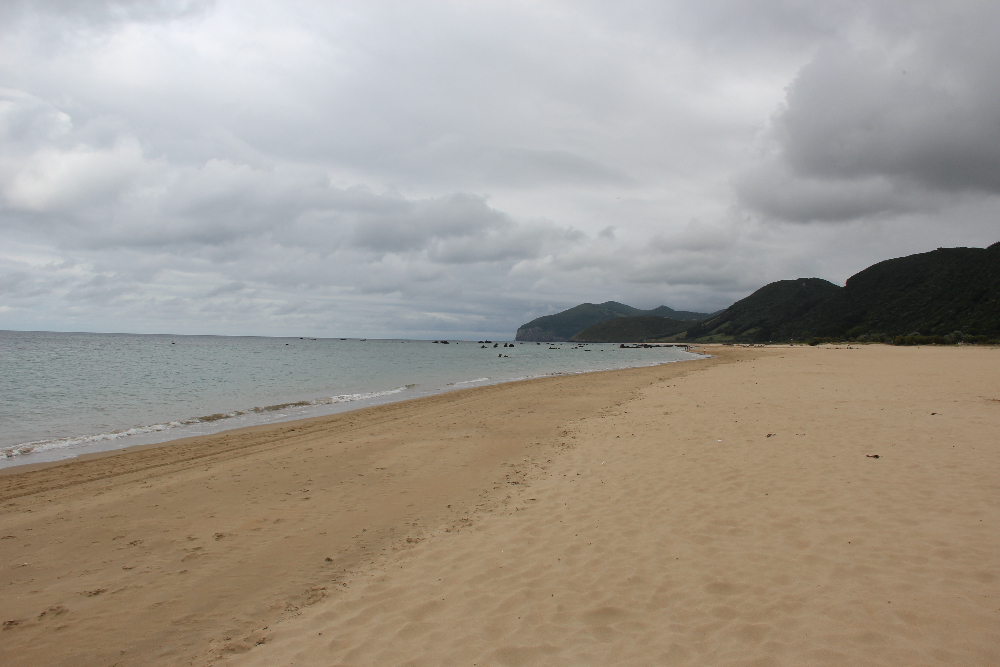 Strand_Noja Sandstrand
