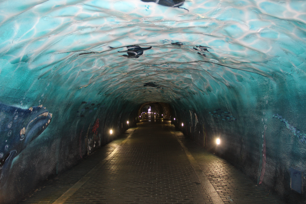 Tunnel_Laredo Unterwasserwelt Bemalung