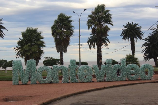 kunstwerk-aus-plastikmuell