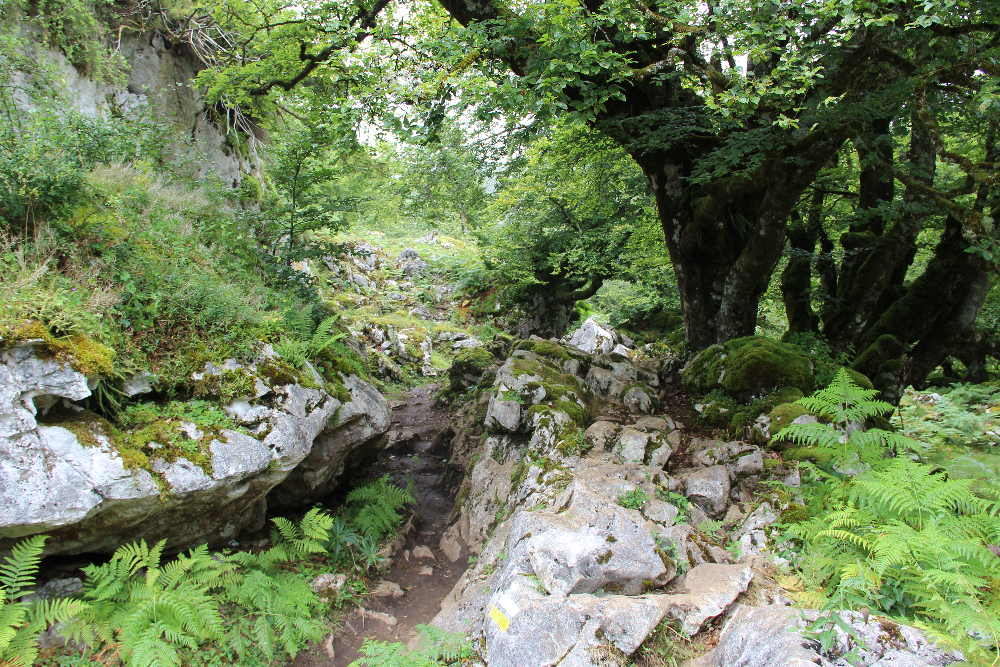 Wanderweg Covadonga